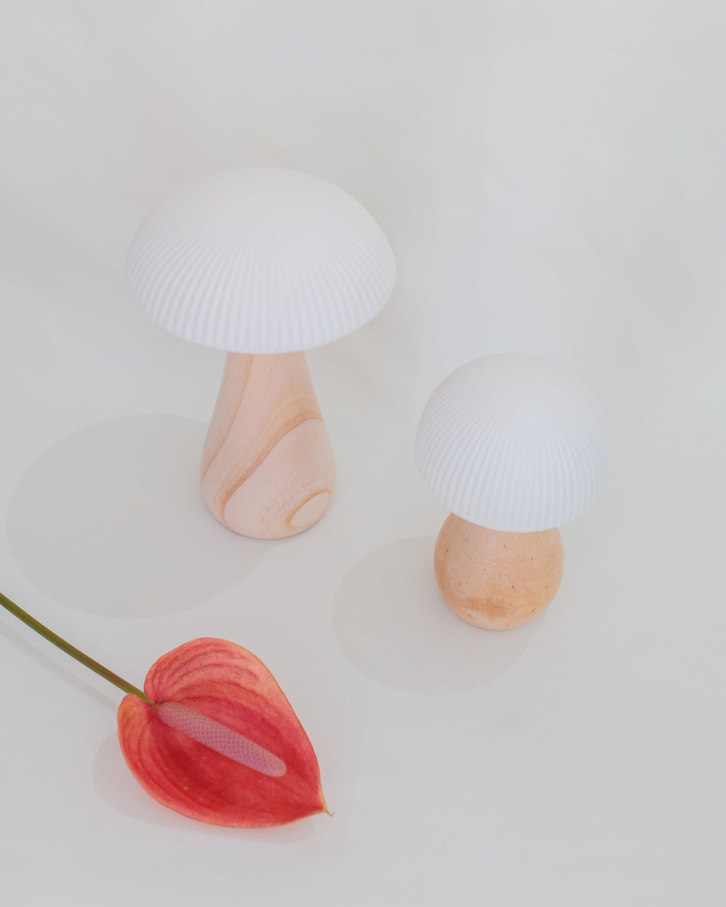Luminária Cogumelo G em Madeira e Cerâmica
