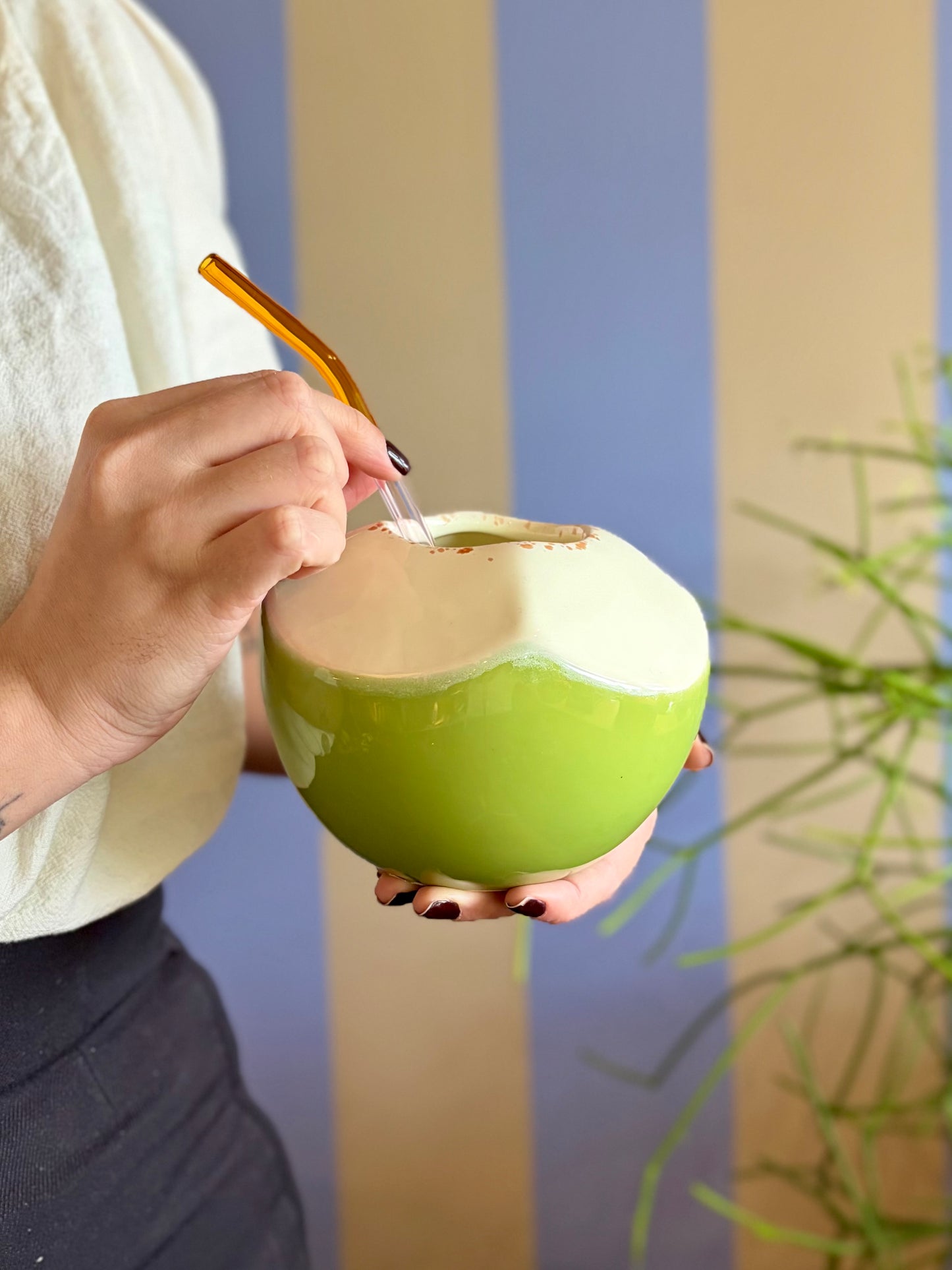 Vaso coco em cerâmica