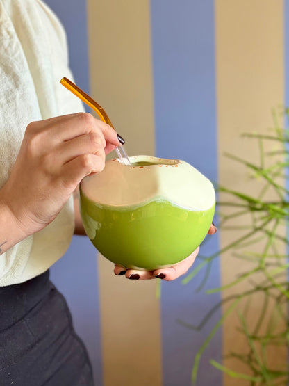 Vaso coco em cerâmica