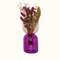 Roxo e Rosa