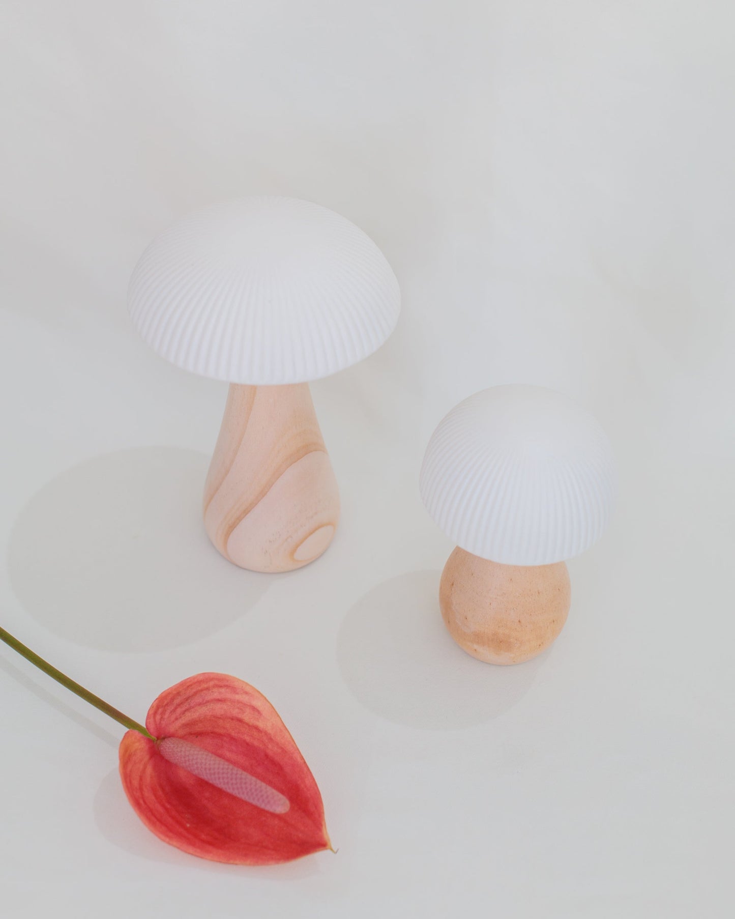 Luminária Cogumelo P em Madeira e Cerâmica